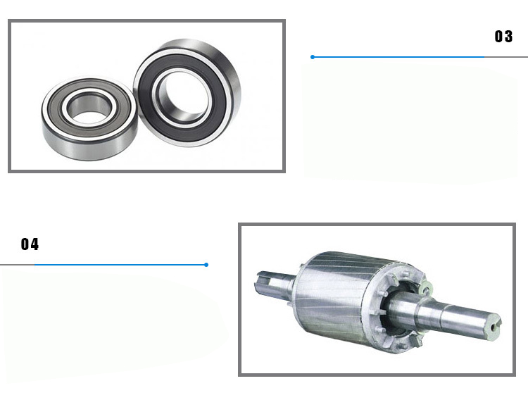 轴承、转子图