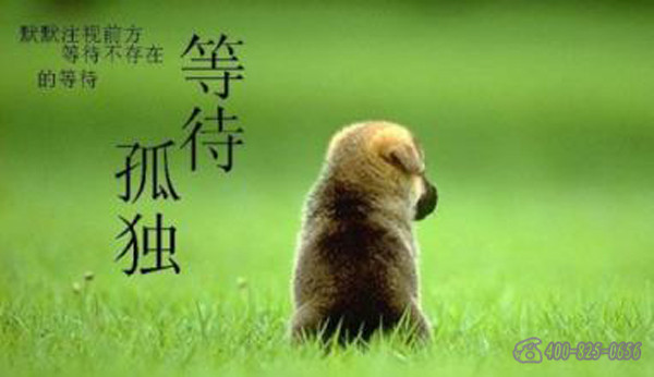 等待