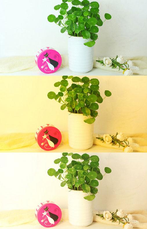 三色光展示 三色光展示